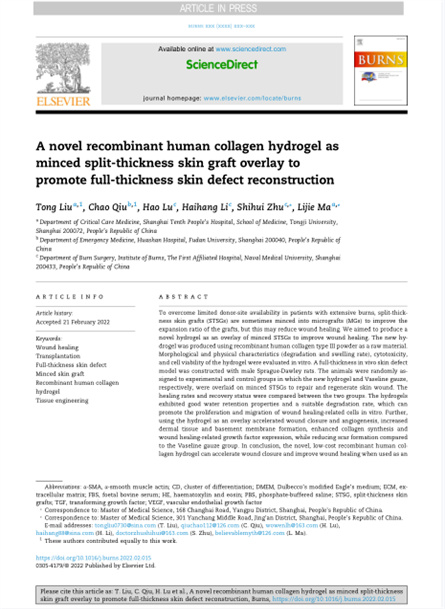 2022 动物研究，重组胶原用于微粒皮移植覆盖